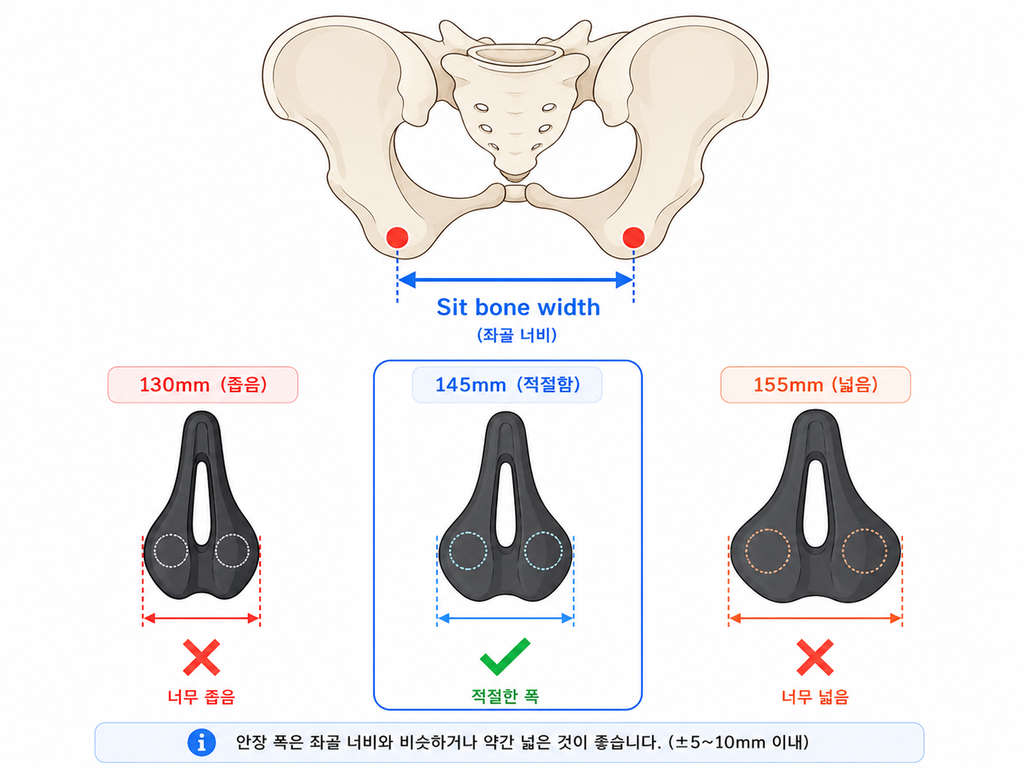 좌골 너비와 안장 폭 비교 — 130mm·145mm·155mm
